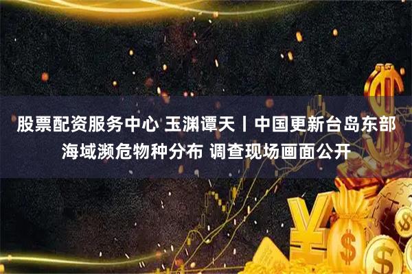 股票配资服务中心 玉渊谭天丨中国更新台岛东部海域濒危物种分布 调查现场画面公开