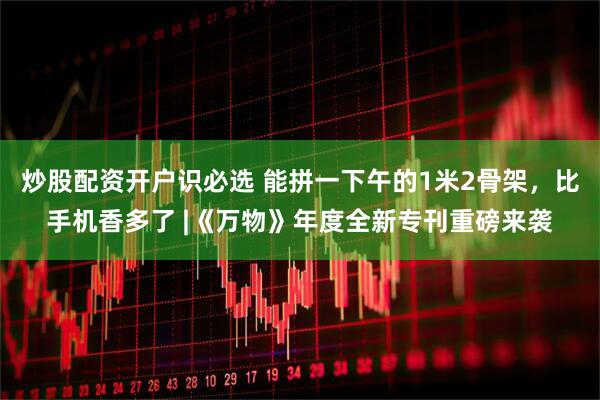 炒股配资开户识必选 能拼一下午的1米2骨架，比手机香多了 |《万物》年度全新专刊重磅来袭